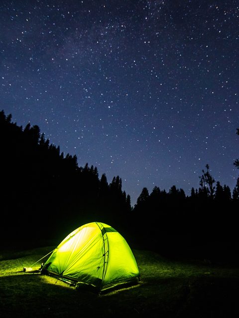 A glowing green tent in a dark pine forest under the stars