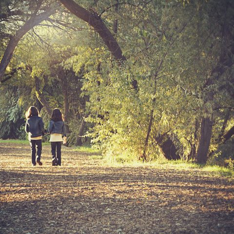 Two people walking side by side down a sunny tree lined park path