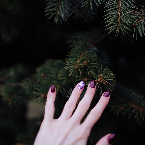 A hand with plum painted nails reaching into pine branches