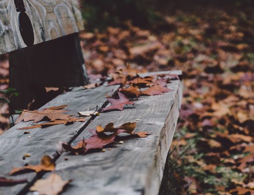 Autumn leaves on an old wooden bench