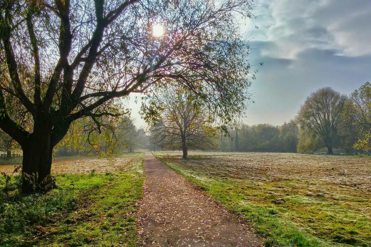 A dirt path through a quiet park with trees and autumn grass