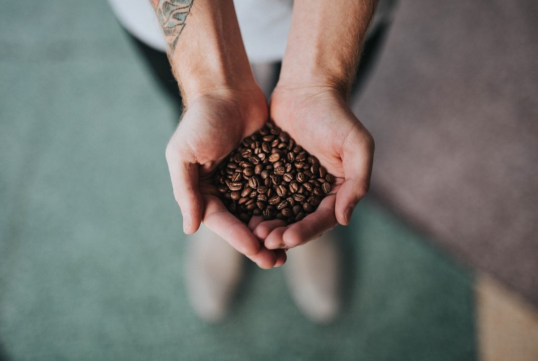 Two cupped hands holding a heap of freshly roasted coffee beans