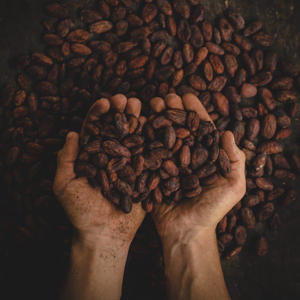 Two cupped hands full of roasted coffee beans
