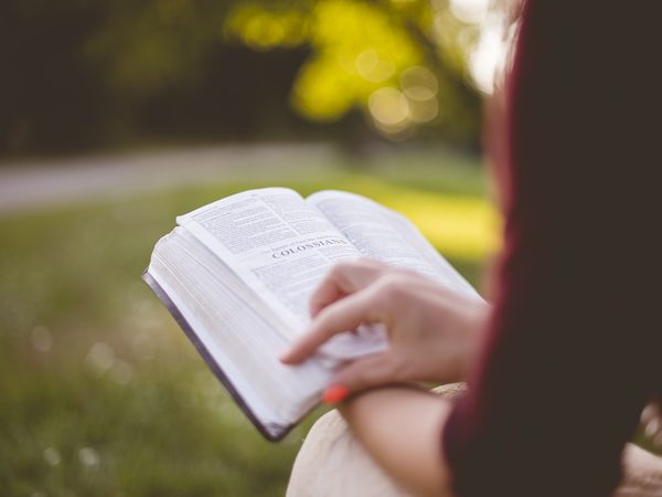 A person reads a book outdoors on green grass in soft light