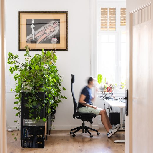 Home office with a plant and a desk by a window