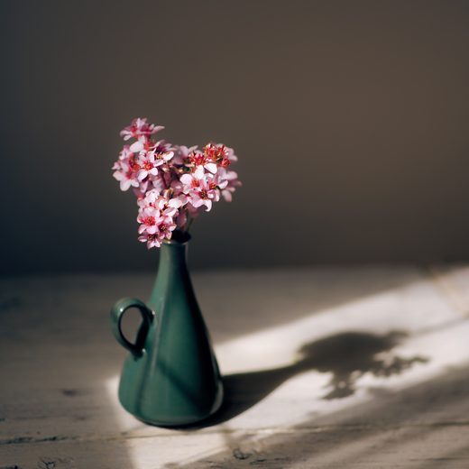 Small dark green bud vase with pink flowers on a sunlit table