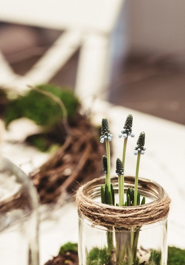 Grape hyacinths in small glass jars wrapped in twine on a garden table