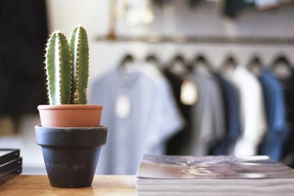 Shirts on a rail behind a small cactus on a shop counter