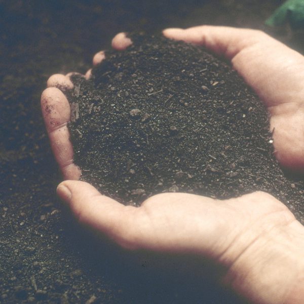 Two cupped hands holding dark garden soil