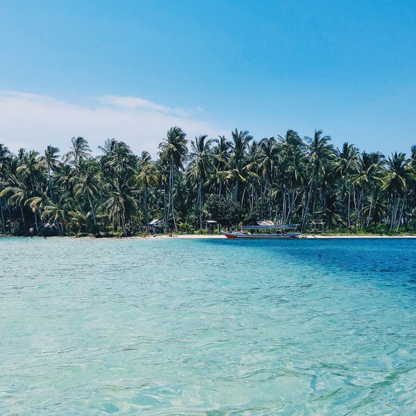 A small island of palm trees beyond clear shallow water