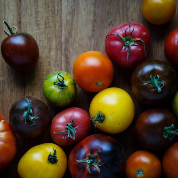 Heirloom tomatoes in red, yellow and dark purple on a wooden table
