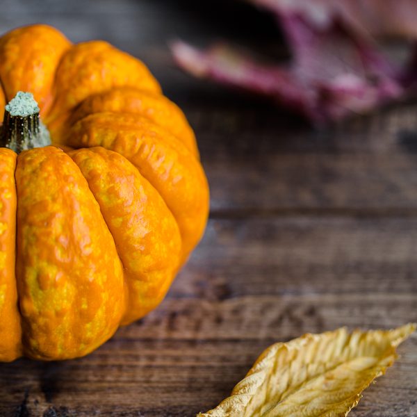 A striped orange mini gourd on a dark wooden table with a dry leaf