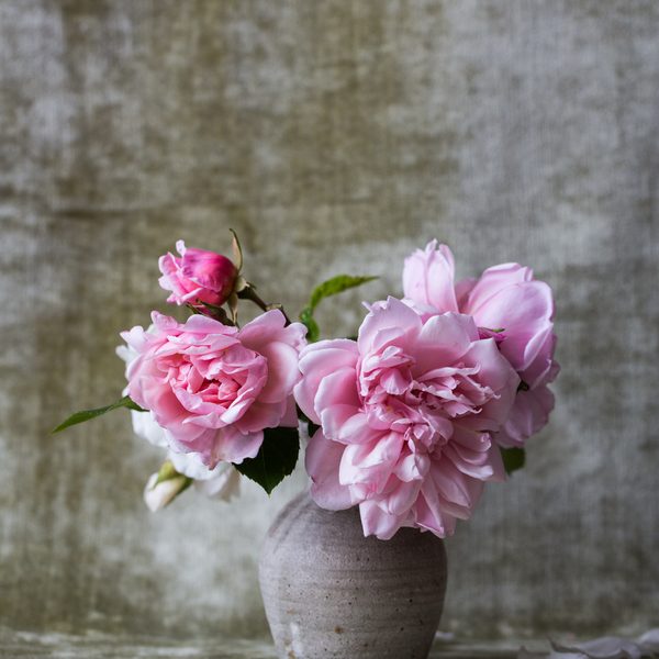 Pink peonies in a grey stoneware vase against a concrete wall