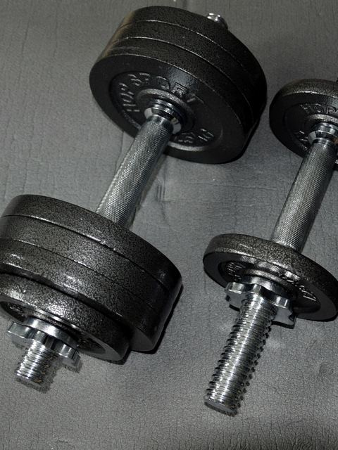 A pair of iron dumbbells and loose plates on a grey floor