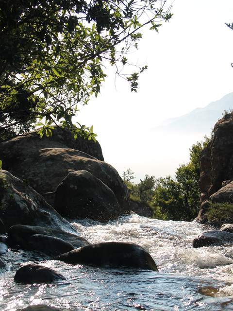 Clear water rushing over boulders at the sunlit edge of a forest