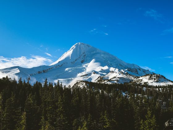 Snowy volcano peak above a dark pine forest