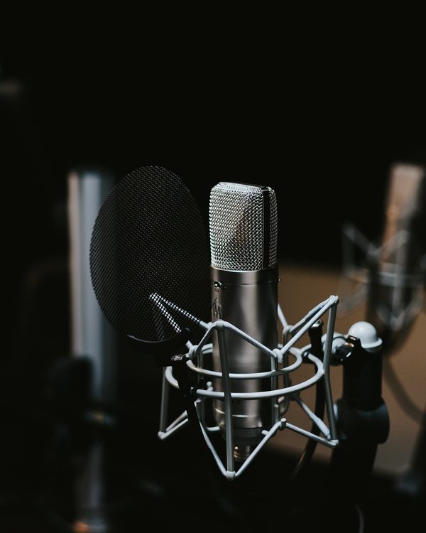 A studio condenser microphone in a shock mount in a dark recording room