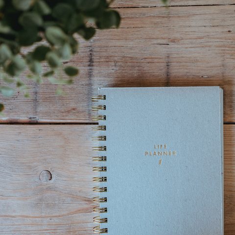 A pale blue spiral planner on a wooden desk under a green plant