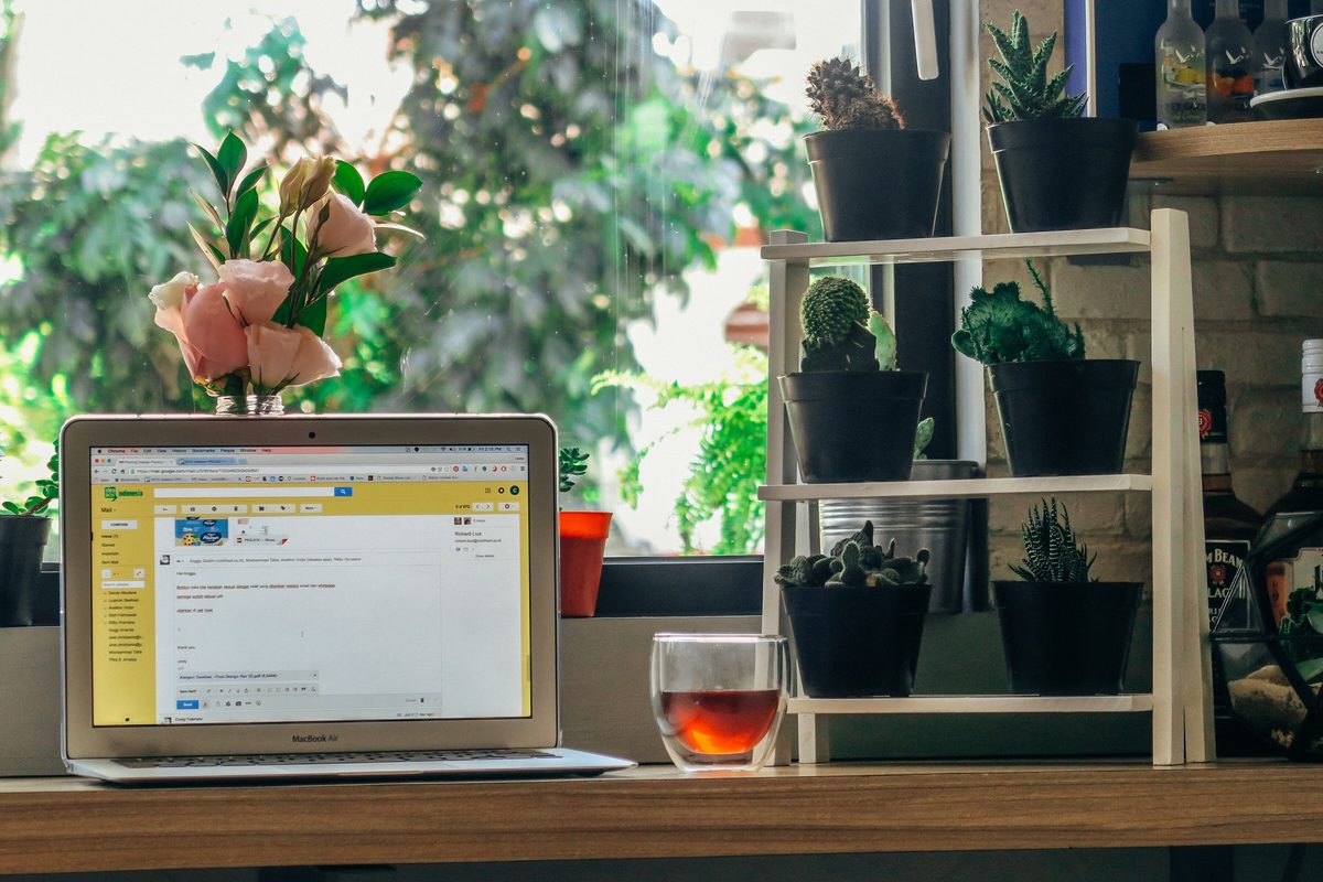 A laptop on a wooden desk surrounded by potted plants and a glass of tea