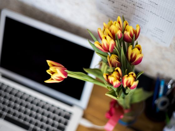 Laptop on a home desk next to a vase of red and yellow tulips