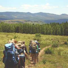 Group of hikers with big backpacks walking through tall grass