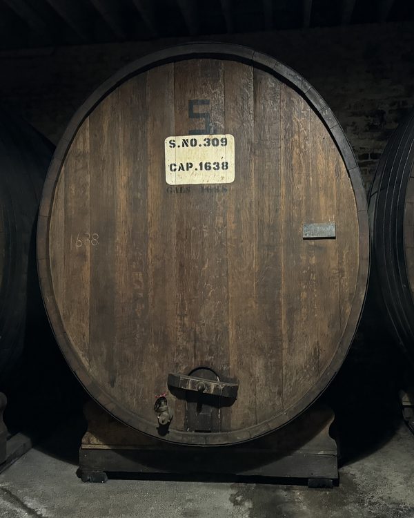 A large old oak wine barrel in a dark cellar