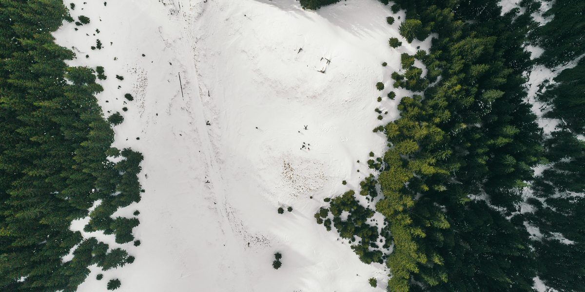 Snowy pine forest seen from above